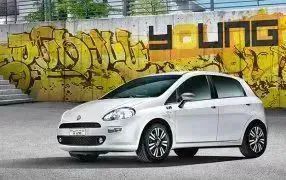 Las mejores ofertas en Cubiertas para Fiat Punto